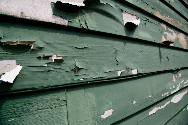 Best Dumpster Rental Services  in Peabody, MA