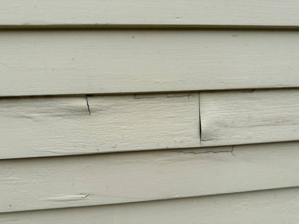 Best Construction Debris Removal  in Peabody, MA